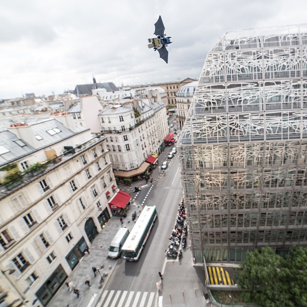 Batman-cxdespetitschamps2