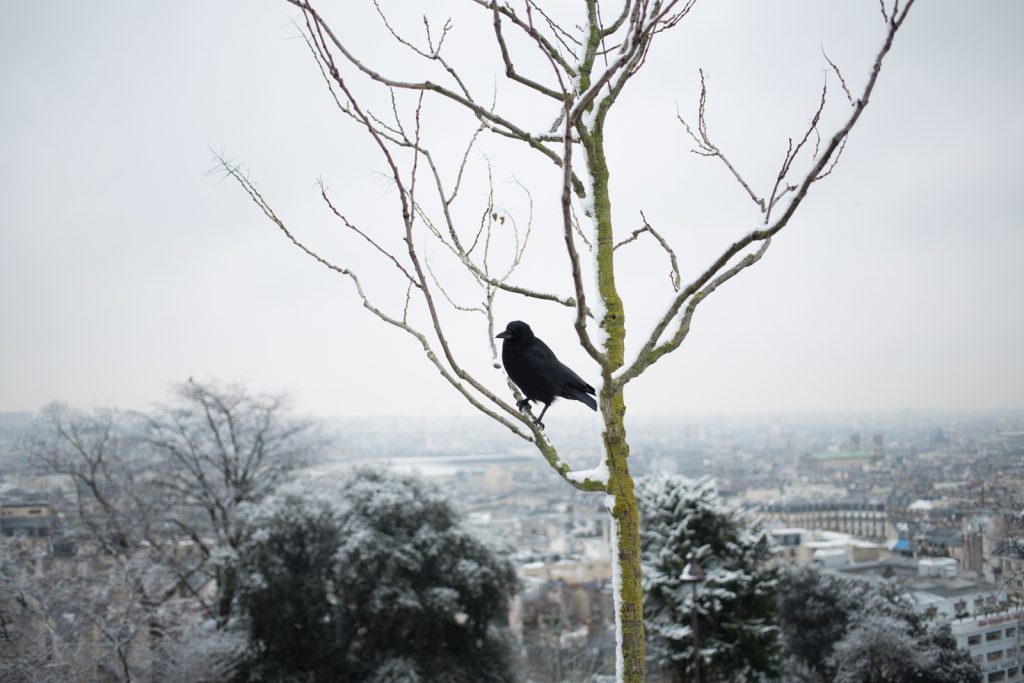 Montmartre Paris @discret