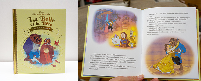 Petit livre d'Or La Belle et la Bête